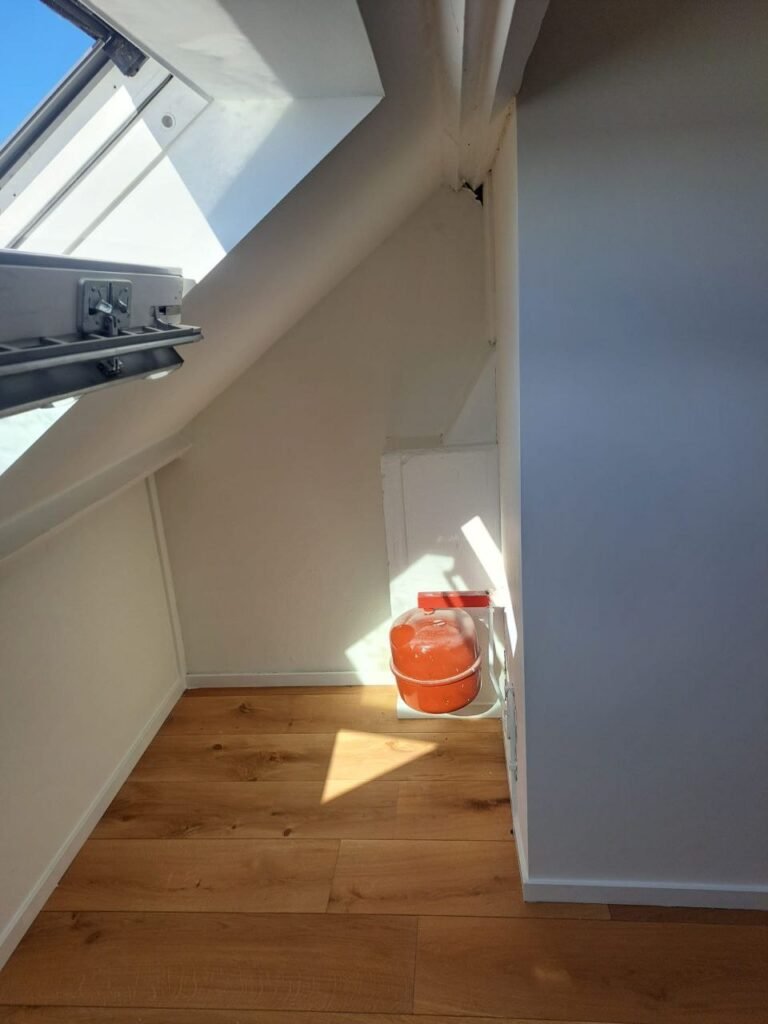 photo 2025 09 21 11 35 05